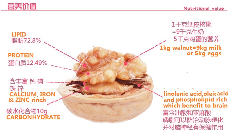 核桃营养价值Nutrition value of walnut