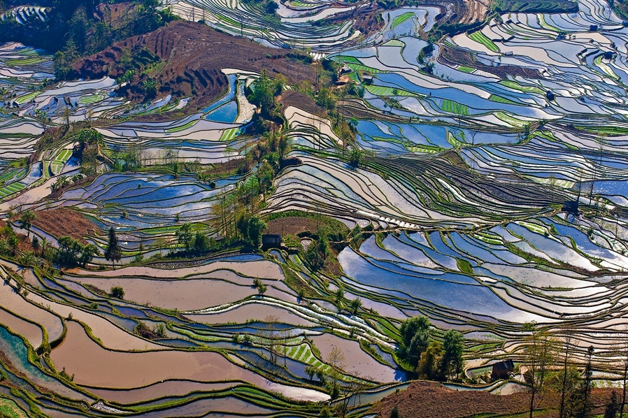 梦中梯田