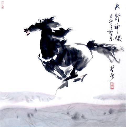 Horse running