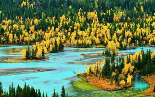 新疆喀纳斯清水绕树Xin Jiang clear water surrounding trees